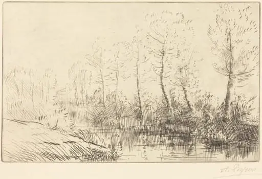 Birch Trees: Water's Edge Seen in Morning Light (Les bouleaux: Bord de l'eau, effet du matin, by Alphonse Legros