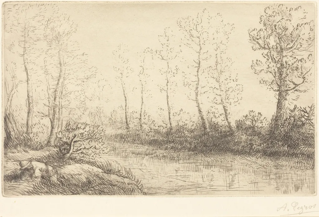 Birch Trees: Water's Edge Seen in Morning Light (Les Bouleaux: Bord de l'eau, effet du matin), by Alphonse Legros, ink, 1874