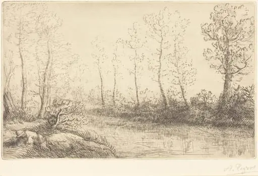 Birch Trees: Water's Edge Seen in Morning Light (Les Bouleaux: Bord de l'eau, effet du matin), by Alphonse Legros