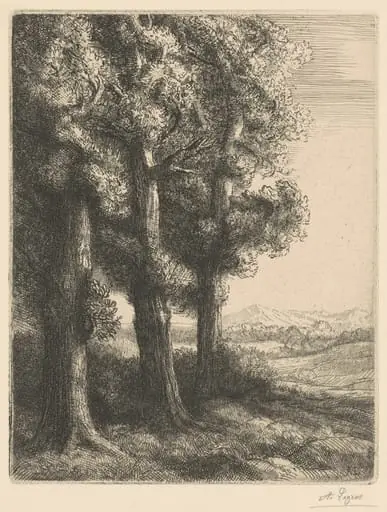 Corner of a Wood (Coin d'un Bois), by Alphonse Legros