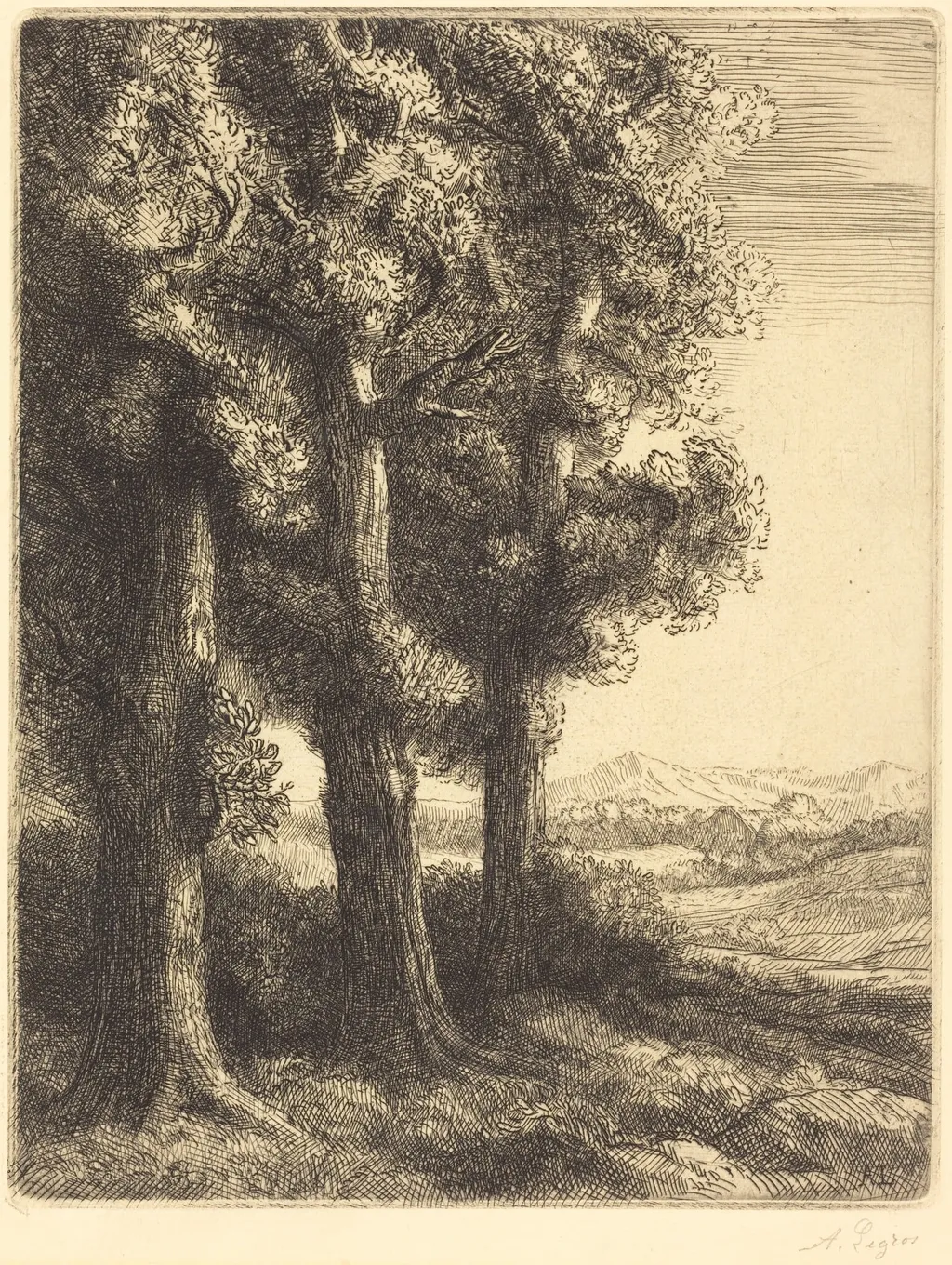 Corner of a Wood (Coin d'un bois), by Alphonse Legros, ink, 1882