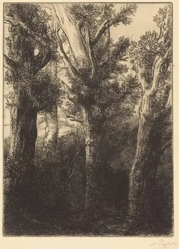 German Forest, Downley, by Alphonse Legros