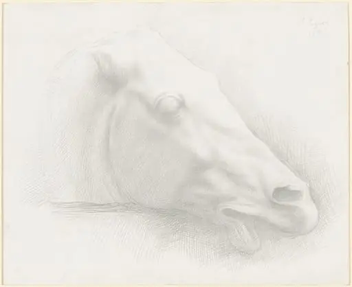Head of a Horse from the Parthenon, by Alphonse Legros