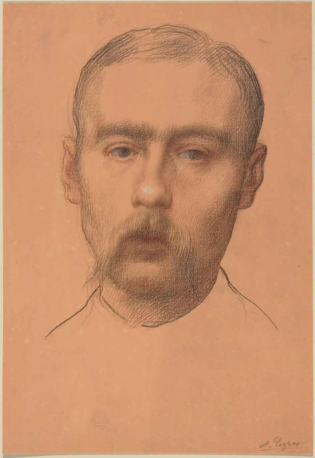 Head of a Man (Possible Portrait of Professor E.D. Adams), by Alphonse Legros, graphite, 1874