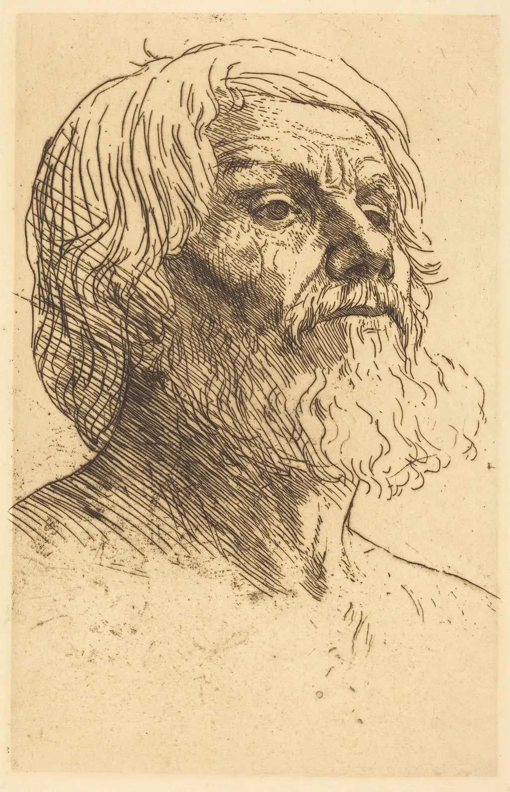 Head of a Man (Tete d'homme), by Alphonse Legros, ink, 1874