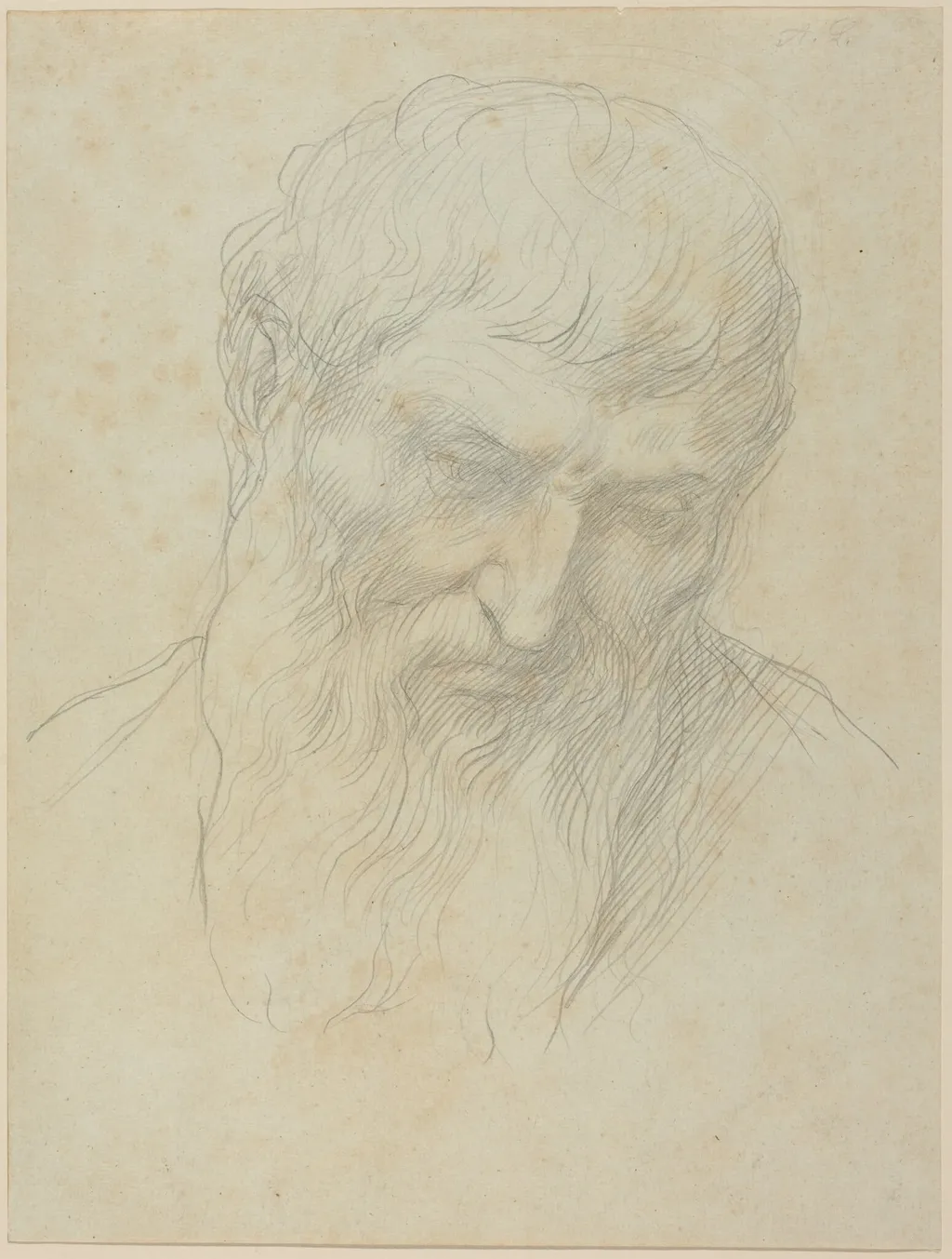 Head of a Man with Curly Hair and Beard, by Alphonse Legros, graphite, 1874