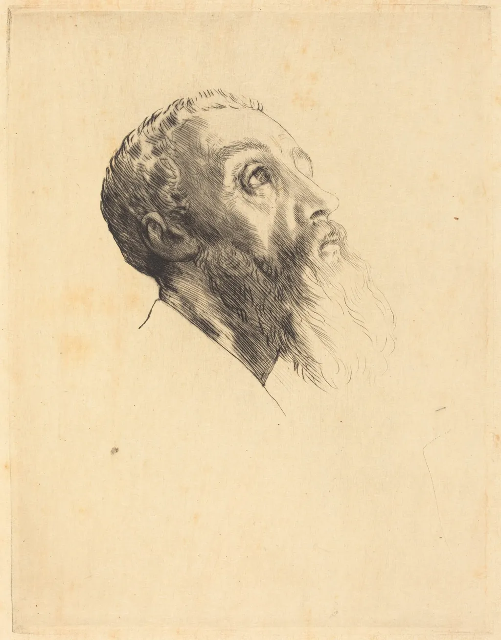 Head of a Model (Tete de modele), by Alphonse Legros, ink, 1874