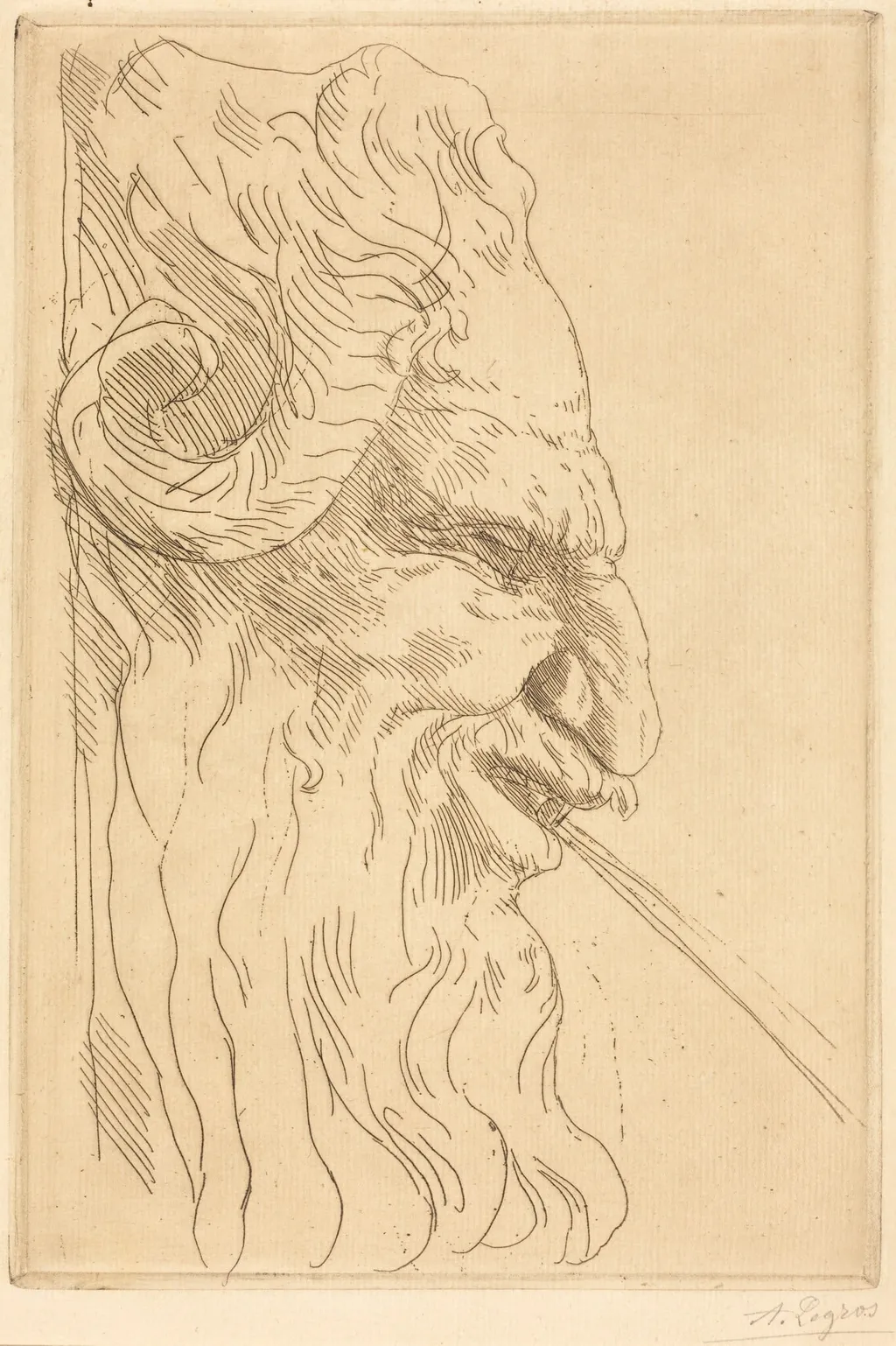 Head of a Satyr (Tete de satyre), by Alphonse Legros, ink, 1874