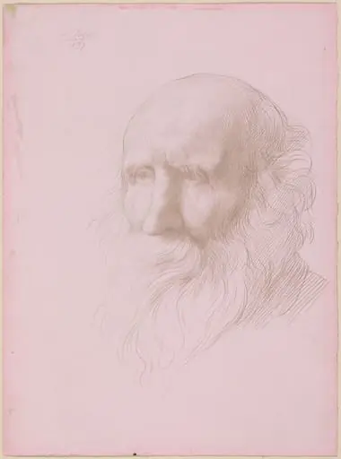 Head of an Old Man, by Alphonse Legros