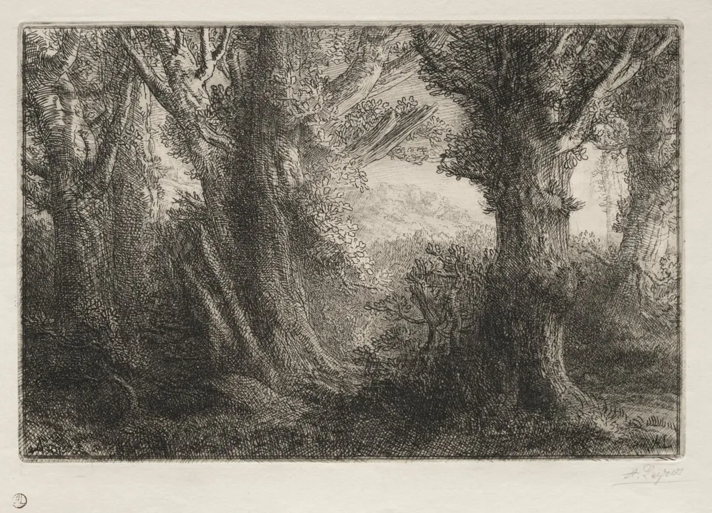 In the Forest at Conteville, by Alphonse Legros, 1884