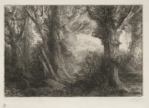 In the Forest at Conteville, by Alphonse Legros
