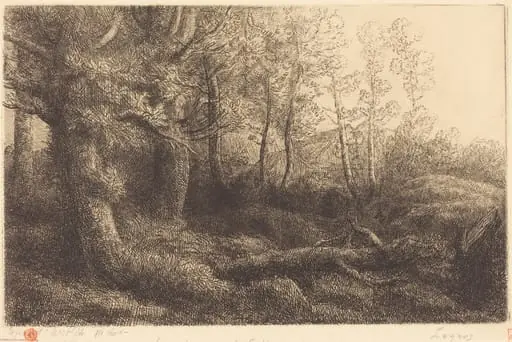 In the Forest (Lisiere de foret), by Alphonse Legros