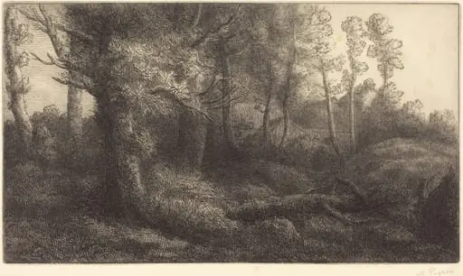 In the Forest (Lisiere de foret), by Alphonse Legros