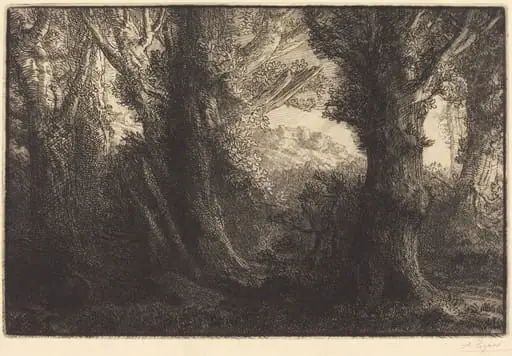 In the Forest of Conteville (Dans la foret de Conteville), by Alphonse Legros