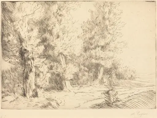 In the Forest of Fontainebleau  (Dans la foret de Fontainebleau), by Alphonse Legros
