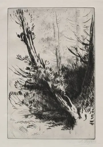 In the Woods, by Alphonse Legros