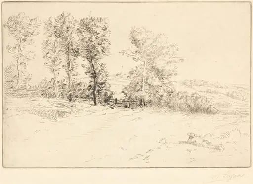 Meadow in Sunshine (Le pre ensoleille), by Alphonse Legros