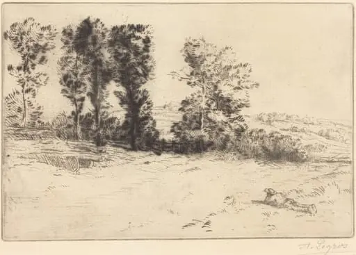 Meadow in Sunshine (Le pre ensoleille), by Alphonse Legros