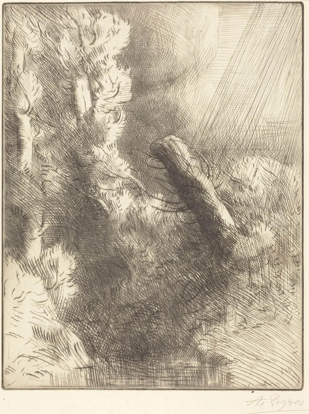 Memories of Fountainebleau in the Rain (Souvenir de Fountainebleau (Effet de pluie)), by Alphonse Legros, ink, 1874