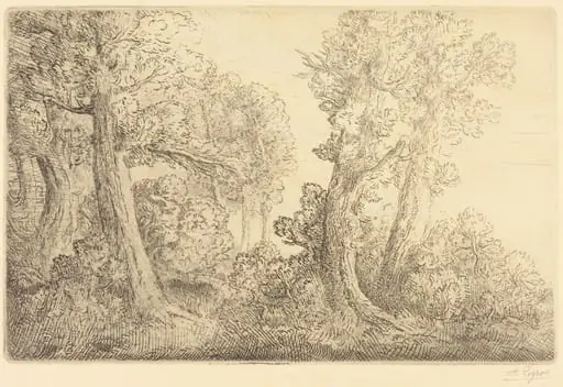 Near the Woods, Veronne (Pres du bois, Veronne), by Alphonse Legros