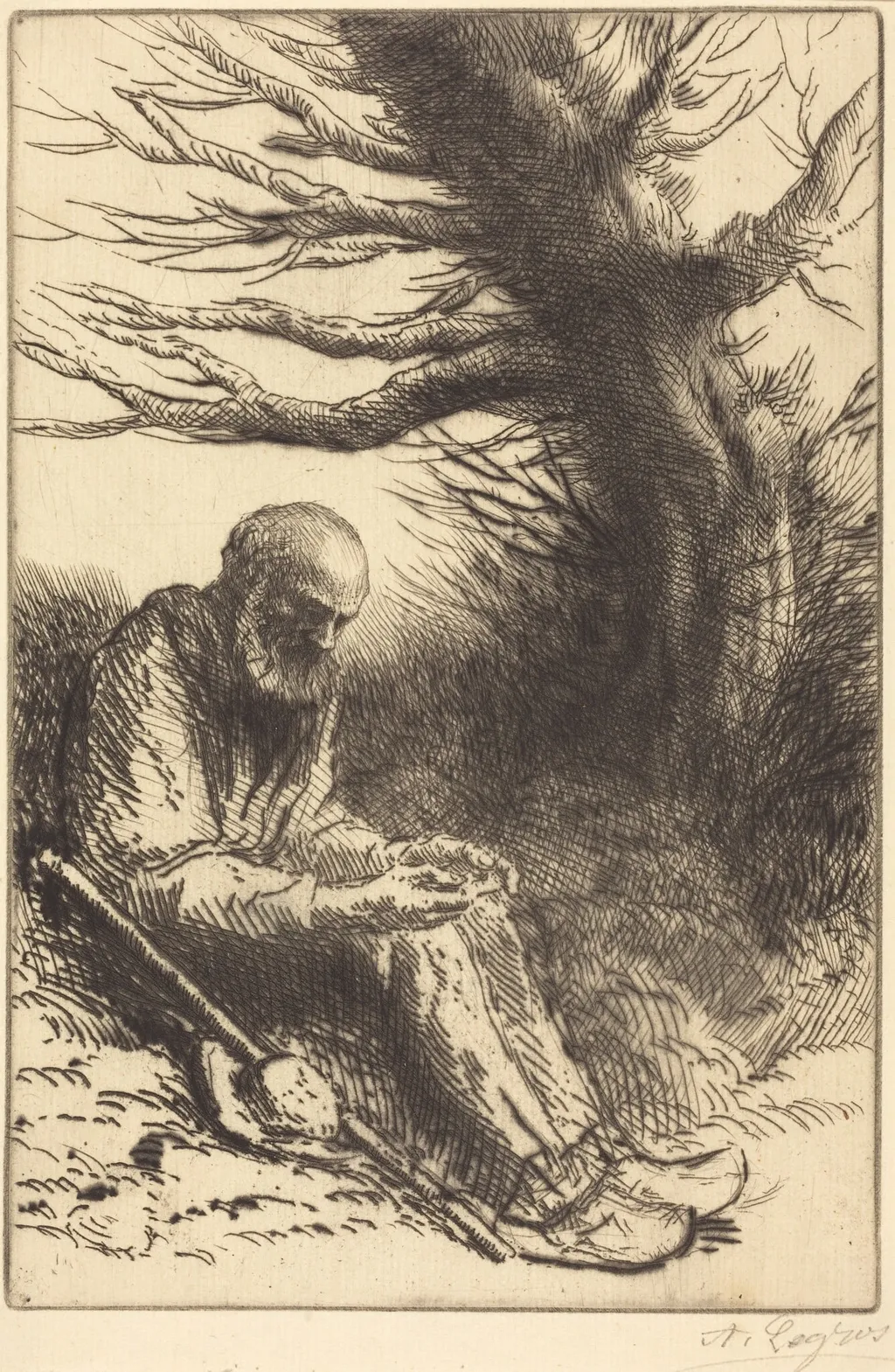 Old man, Old Tree (Vieil homme, vieil arbre), by Alphonse Legros, ink, 1874