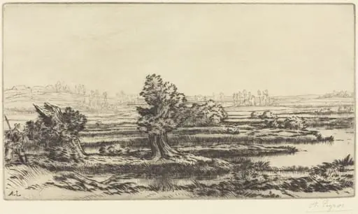 Peat-bogs (Les Tourbieres), by Alphonse Legros