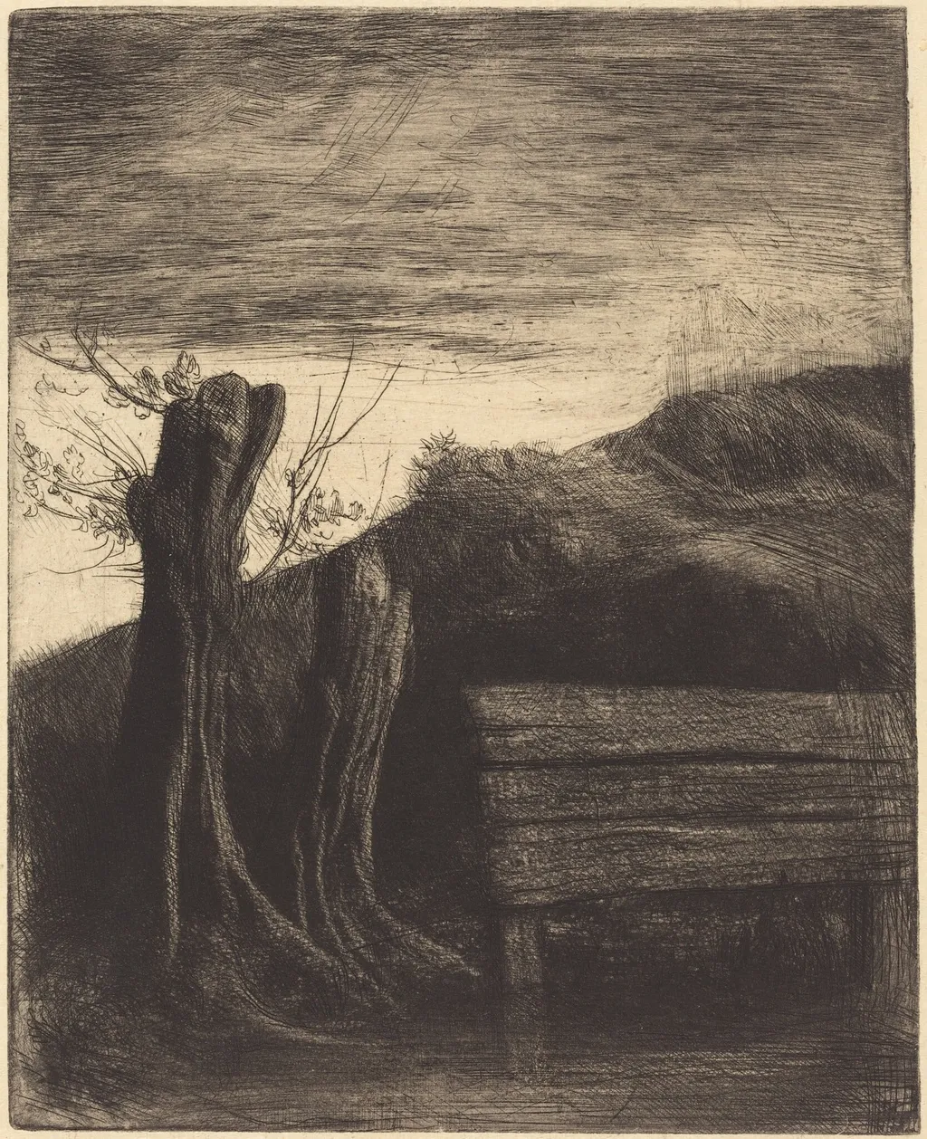 Pollard Willows (Les saules tetards), by Alphonse Legros, ink, 1874