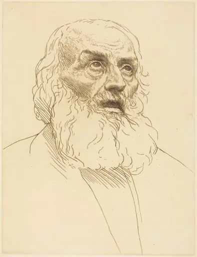 Study of an Old Man (Etude de vieillard), by Alphonse Legros