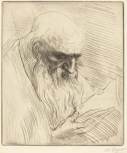 Study of the Head of a Man Reading (Etude de tete d'homme lisant), by Alphonse Legros