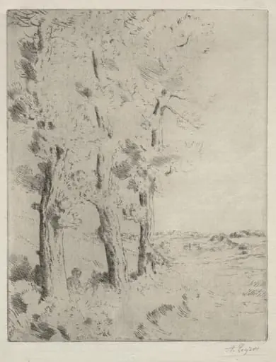 The Reader:  The Lecture under the Trees, by Alphonse Legros