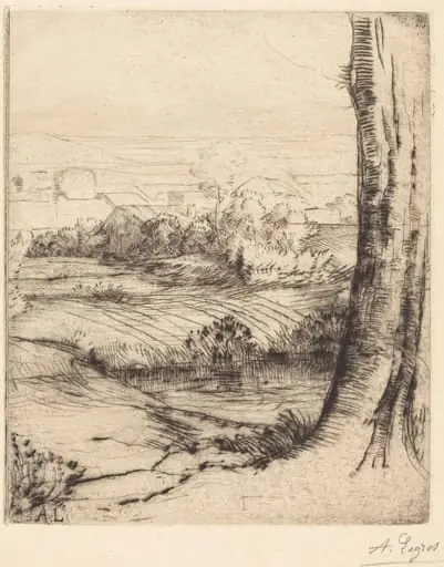 View of Reeds (Coin de roseau), by Alphonse Legros