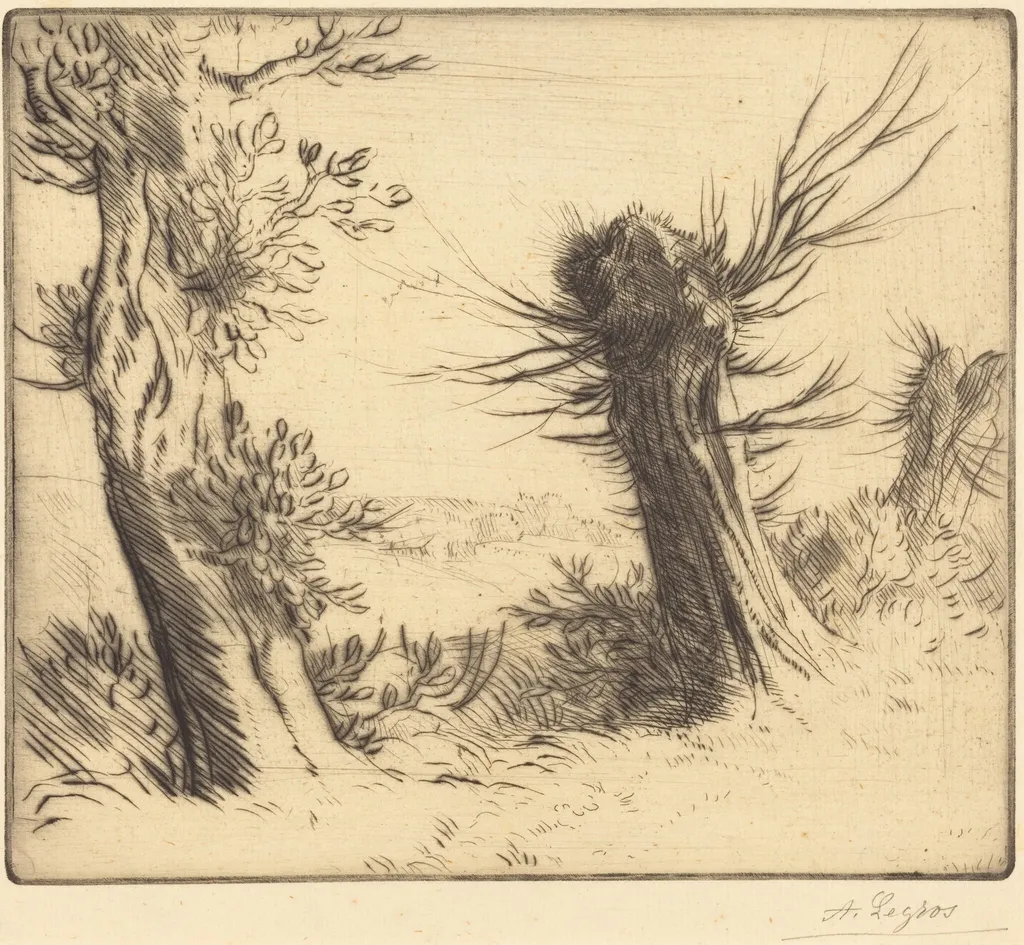 Willows (Les saules), by Alphonse Legros, ink, 1874