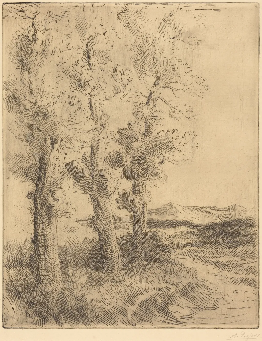 Woman Reading: Lesson under the Trees (La liseuse: La lecture sous les arbres), by Alphonse Legros, ink, 1874