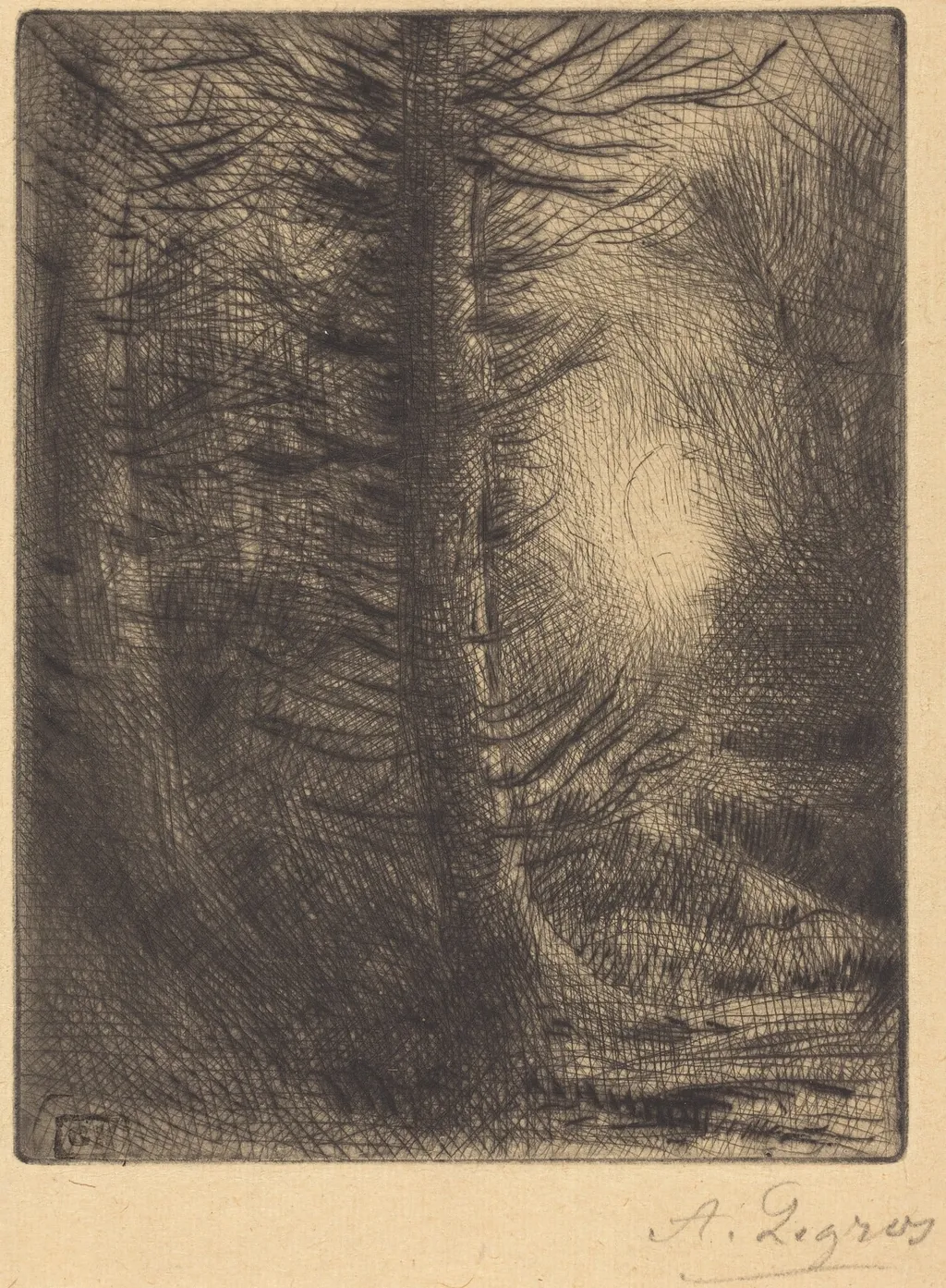 Woods in Winter Sun, 1st plate (Soleil d'hiver dans les bois), by Alphonse Legros, ink, 1874
