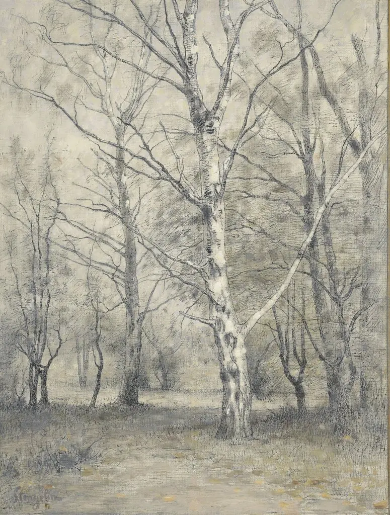 Bos met berkebomen, by Alphonse Stengelin