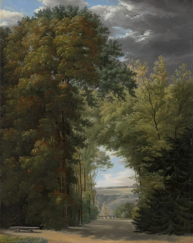 An Alley of Trees in a Park