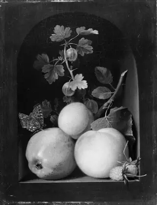 An Apple, caville rouge, and other Fruits