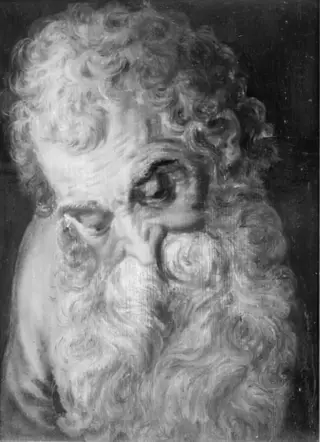 An Old Man's Head