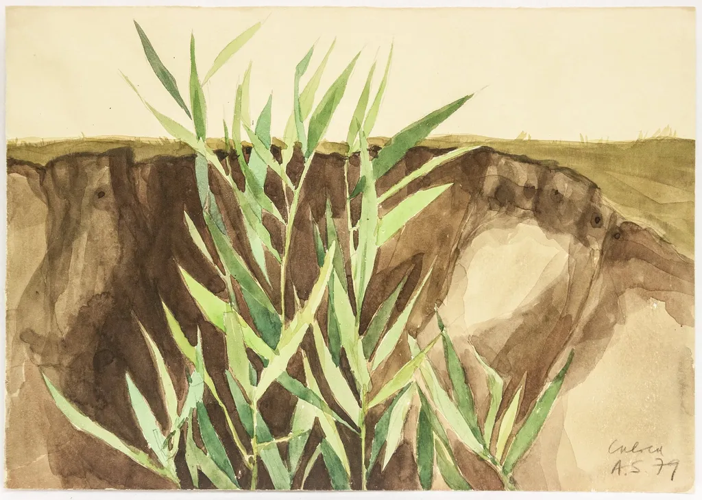 Calica I, by Ana Maria Smigelschi, 1950