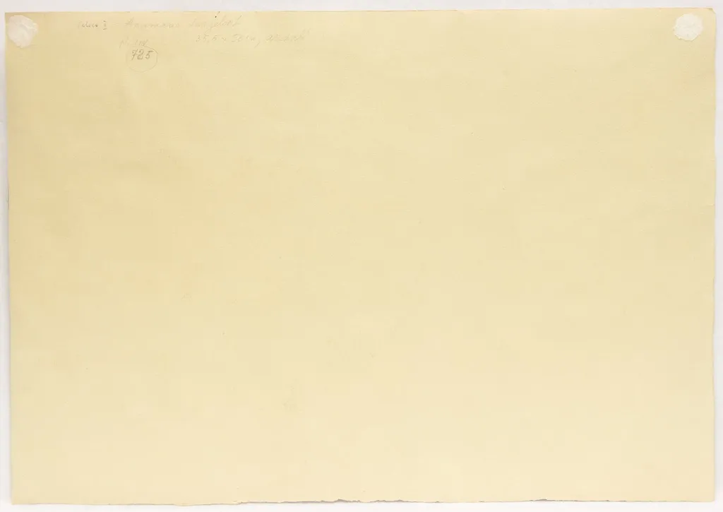 Calica II, by Ana Maria Smigelschi, unspecified, 1950