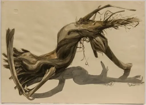 Copac, by Ana Maria Smigelschi