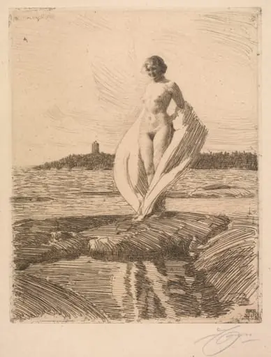 The Swan, by Anders Zorn
