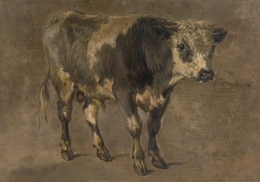 Bull, by André Plumot