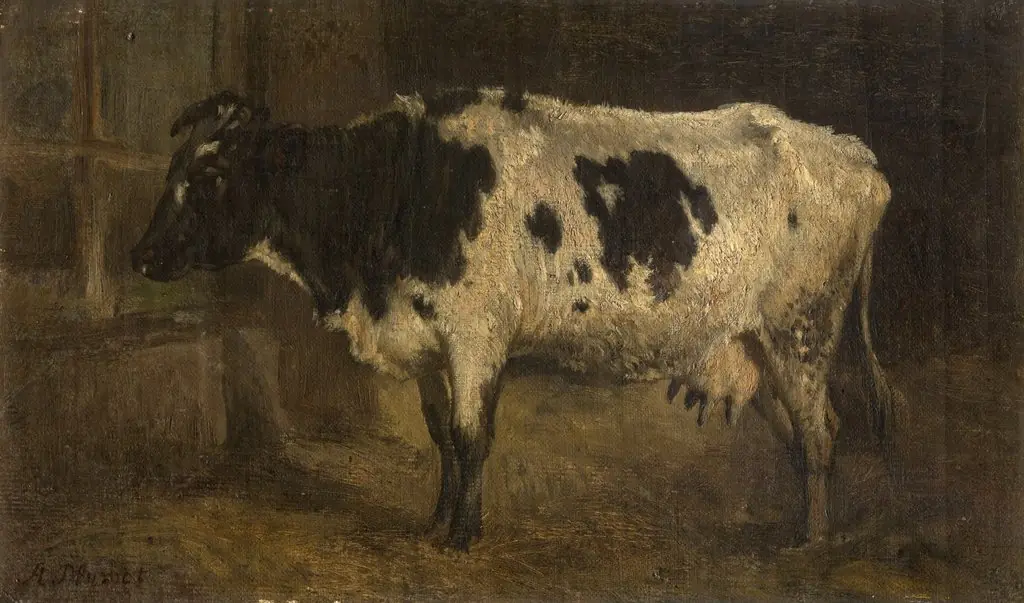 Cow, by André Plumot
