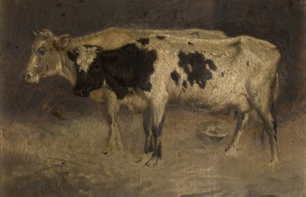 Cows, by André Plumot
