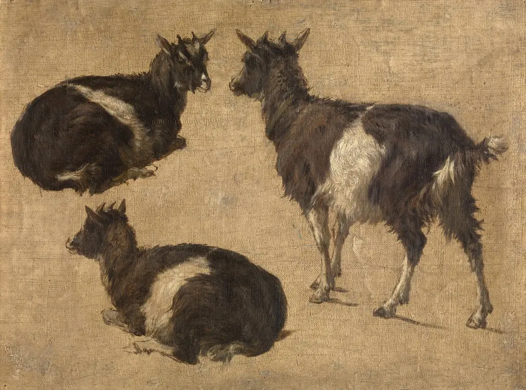 Goats, by André Plumot