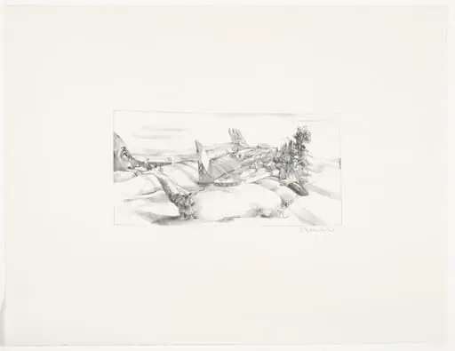 Untitled, by André Thomkins