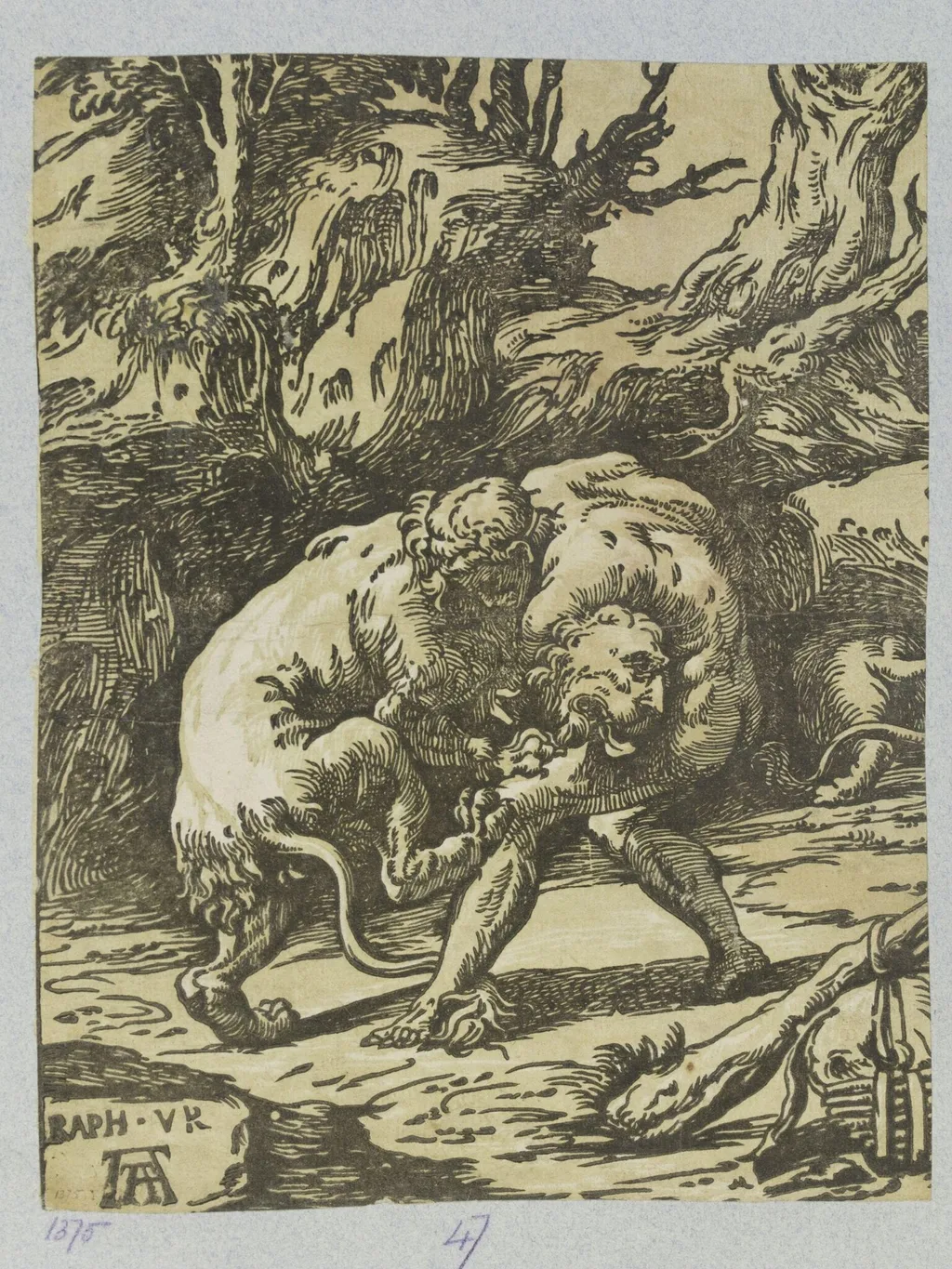 Hercules Strangling the Nemean Lion, by Andrea Andreani