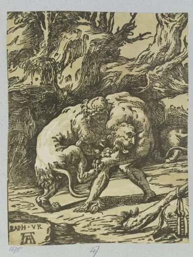 Hercules Strangling the Nemean Lion, by Andrea Andreani