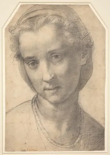 Head of a Woman, by Andrea del Sarto